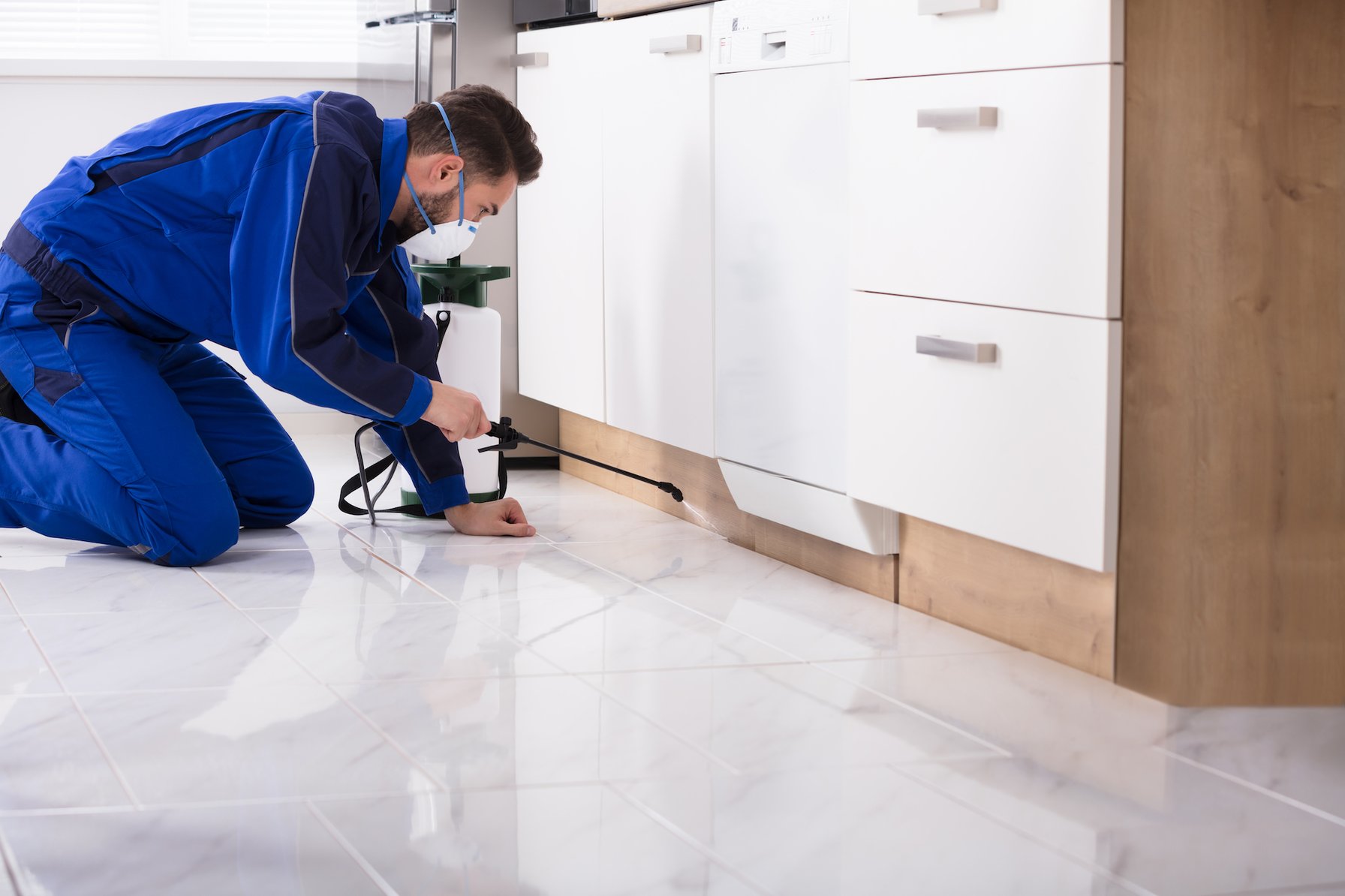 Technician using Pest Control Work Order Software to direct his daily workload